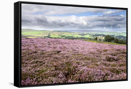 Heather Moorland and Yorkes Folly Near Pateley Bridge, Yorkshire, England, United Kingdom, Europe-Mark Sunderland-Framed Stretched Canvas