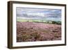 Heather Moorland and Yorkes Folly Near Pateley Bridge, Yorkshire, England, United Kingdom, Europe-Mark Sunderland-Framed Photographic Print