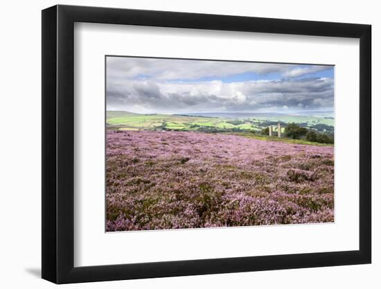 Heather Moorland and Yorkes Folly Near Pateley Bridge, Yorkshire, England, United Kingdom, Europe-Mark Sunderland-Framed Photographic Print