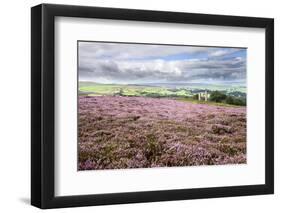 Heather Moorland and Yorkes Folly Near Pateley Bridge, Yorkshire, England, United Kingdom, Europe-Mark Sunderland-Framed Photographic Print