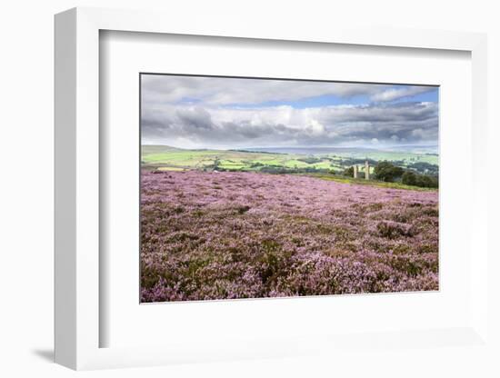 Heather Moorland and Yorkes Folly Near Pateley Bridge, Yorkshire, England, United Kingdom, Europe-Mark Sunderland-Framed Photographic Print