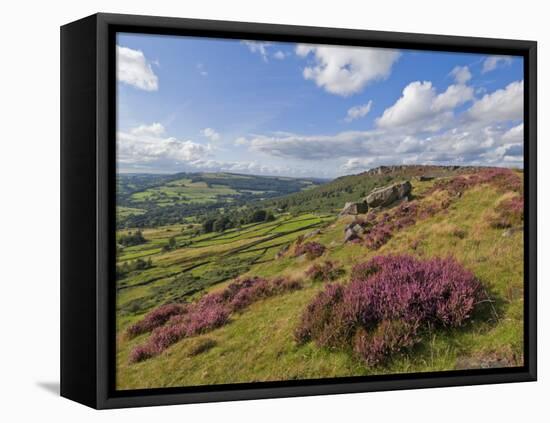 Heather Moorland, Baslow Edge Near Curbar, Peak District National Park, Derbyshire, England, UK-Neale Clarke-Framed Stretched Canvas