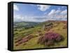 Heather Moorland, Baslow Edge Near Curbar, Peak District National Park, Derbyshire, England, UK-Neale Clarke-Framed Stretched Canvas