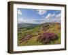 Heather Moorland, Baslow Edge Near Curbar, Peak District National Park, Derbyshire, England, UK-Neale Clarke-Framed Photographic Print