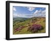 Heather Moorland, Baslow Edge Near Curbar, Peak District National Park, Derbyshire, England, UK-Neale Clarke-Framed Photographic Print