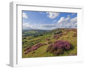 Heather Moorland, Baslow Edge Near Curbar, Peak District National Park, Derbyshire, England, UK-Neale Clarke-Framed Photographic Print