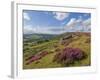 Heather Moorland, Baslow Edge Near Curbar, Peak District National Park, Derbyshire, England, UK-Neale Clarke-Framed Photographic Print