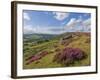 Heather Moorland, Baslow Edge Near Curbar, Peak District National Park, Derbyshire, England, UK-Neale Clarke-Framed Photographic Print