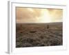 Heather, near Danby, North York Moors, England-Alan Klehr-Framed Photographic Print