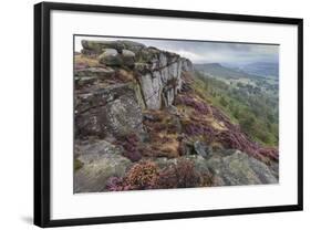 Heather on Curbar Edge at Dawn-Eleanor Scriven-Framed Photographic Print