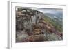 Heather on Curbar Edge at Dawn-Eleanor Scriven-Framed Photographic Print