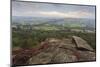 Heather on Curbar Edge at Dawn-Eleanor Scriven-Mounted Photographic Print