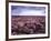 Heather on Moor N Yorkshire England-null-Framed Photographic Print