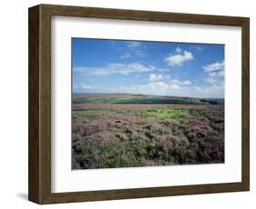 Heather on the Moors, North Yorkshire, England, United Kingdom-Jean Brooks-Framed Photographic Print