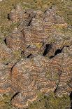 Bungle Bungle Ranges in the Purnululu National Park, Kimberley, Western Australia-Heather Rose-Photographic Print