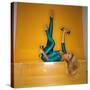 Stretched Canvas