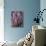 Heather with Butterfly, England-John Warburton-lee-Mounted Photographic Print displayed on a wall