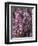 Heather with Butterfly, England-John Warburton-lee-Framed Premium Photographic Print