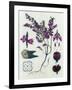 Heather-null-Framed Giclee Print