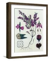 Heather-null-Framed Giclee Print