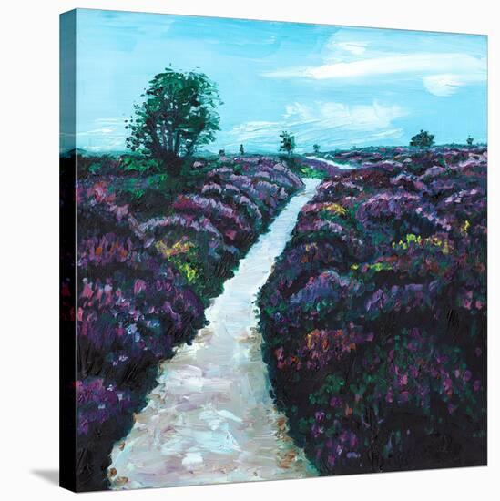 Heathland Heather, 2009, (oil on canvas)-Helen White-Stretched Canvas