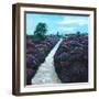 Heathland Heather, 2009, (oil on canvas)-Helen White-Framed Giclee Print