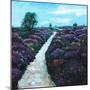 Heathland Heather, 2009, (oil on canvas)-Helen White-Mounted Giclee Print