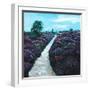 Heathland Heather, 2009, (oil on canvas)-Helen White-Framed Premium Giclee Print