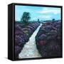 Heathland Heather, 2009, (oil on canvas)-Helen White-Framed Stretched Canvas