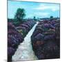 Heathland Heather, 2009, (oil on canvas)-Helen White-Mounted Giclee Print