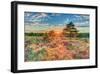 Heathland Sunset-Assaf Frank-Framed Giclee Print