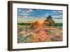 Heathland Sunset-Assaf Frank-Framed Giclee Print