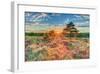 Heathland Sunset-Assaf Frank-Framed Giclee Print