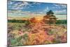 Heathland Sunset-Assaf Frank-Mounted Giclee Print