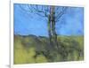 Heathland Tree Study-Paul Bailey-Framed Art Print