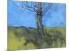 Heathland Tree Study-Paul Bailey-Mounted Art Print