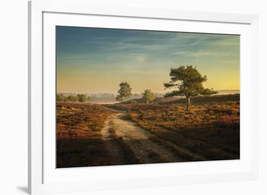 Heathland-Steve Docwra-Framed Giclee Print