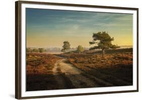 Heathland-Steve Docwra-Framed Giclee Print