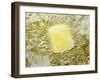 Heating Butter and Oil in Frying Pan-null-Framed Photographic Print