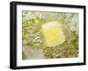 Heating Butter and Oil in Frying Pan-null-Framed Photographic Print