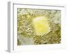 Heating Butter and Oil in Frying Pan-null-Framed Photographic Print