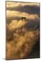 Heaven Gate, Epic Fog and Light, Golden Gate Bridge, San Francisco-Vincent James-Mounted Photographic Print