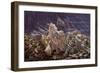 Heaven's Light-R.W. Hedge-Framed Giclee Print