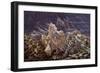 Heaven's Light-R.W. Hedge-Framed Giclee Print