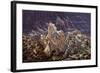 Heaven's Light-R.W. Hedge-Framed Giclee Print