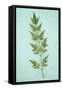 Heavenly Bamboo on Antique Paper-Den Reader-Framed Stretched Canvas