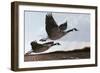 Heavenly Bound-Rusty Frentner-Framed Giclee Print