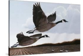 Heavenly Bound-Rusty Frentner-Stretched Canvas