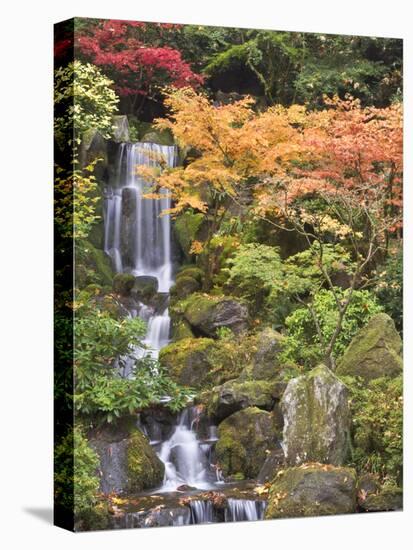Heavenly Falls and Autumn Colors, Portland Japanese Garden, Oregon, USA-William Sutton-Stretched Canvas