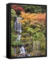 Heavenly Falls and Autumn Colors, Portland Japanese Garden, Oregon, USA-William Sutton-Framed Stretched Canvas